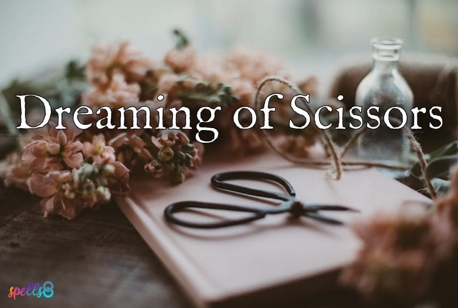 Dreaming of Scissors