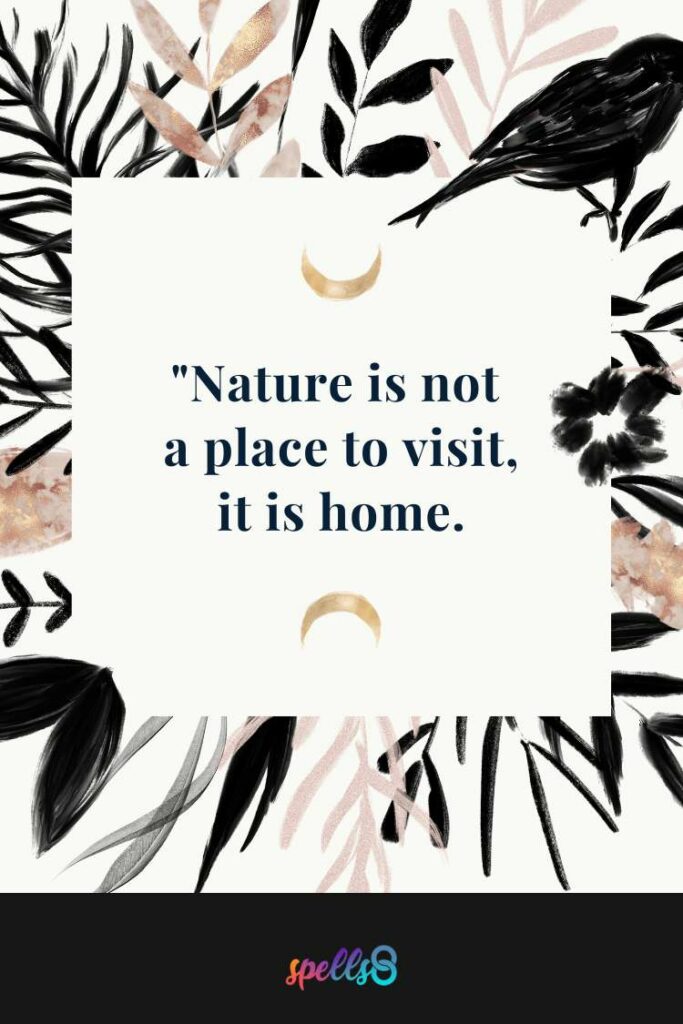 "Nature is not a place to visit, it is home."