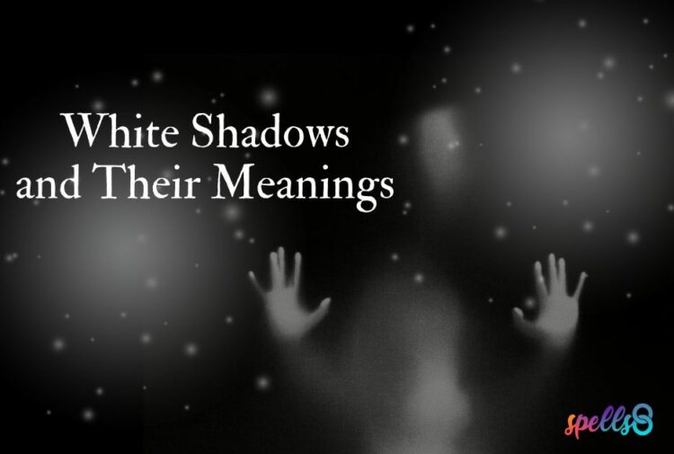White Shadows and Their Meanings Header Image
