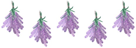 Hanging Lavender Divider