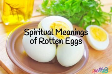 Spiritual Meanings of Rotten Eggs