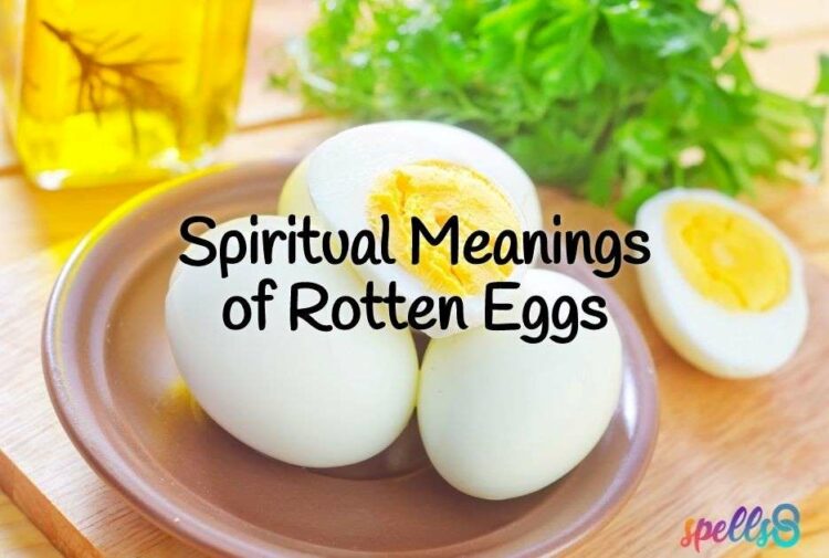 Spiritual Meaning of Rotten Eggs: Stinky, Gross, and…Telling? – Spells8