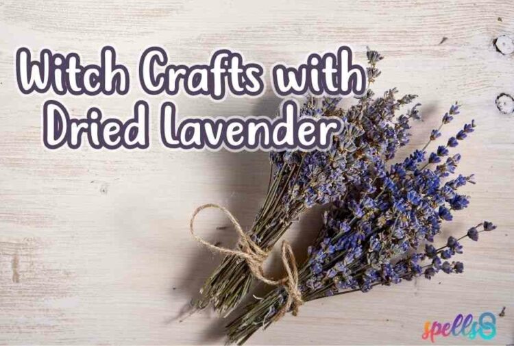 Witch Crafts with Dried Lavender