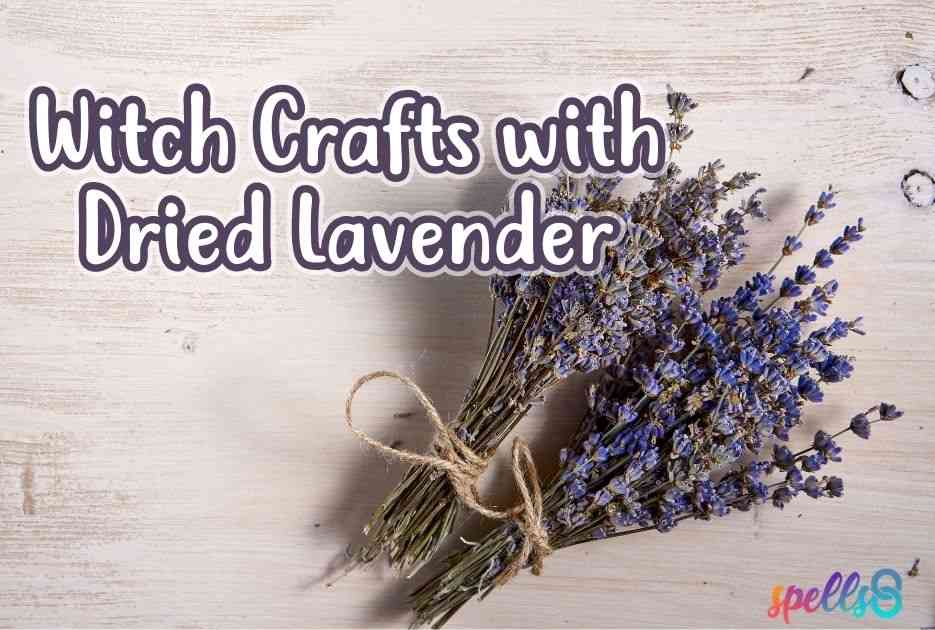 How To Dry Lavender For Cooking - Food Above Gold