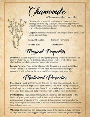 Chamomile Grimoire Page Book of Shadows