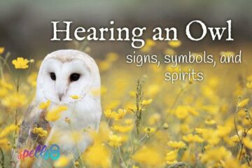 Hearing an Owl: Signs, Symbols, & Spirits