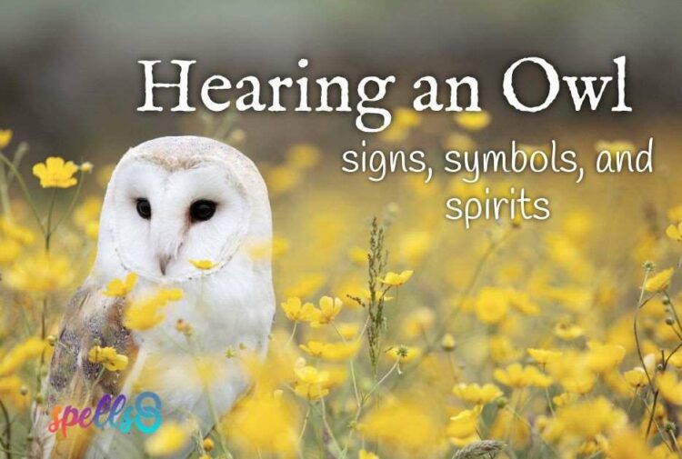 Hearing an Owl: Signs, Symbols, & Spirits