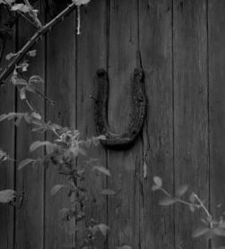 Hanging a horseshoe on the door