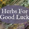 Herbs for Good Luck