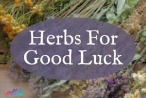 Herbs for Good Luck