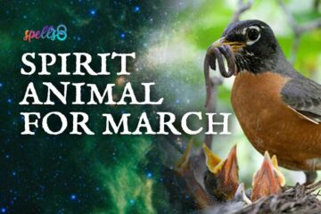 March's Spirit Animal: The Worm