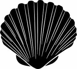 Symbol of Goddess Venus: The Shell