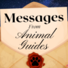 Get a Message from an Animal Guide
