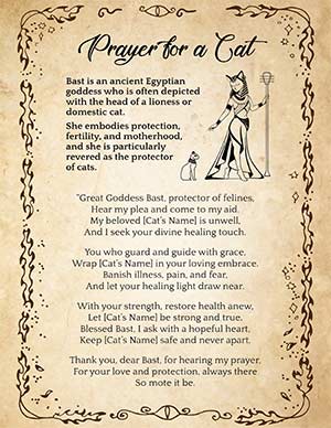 Prayer for a Cat