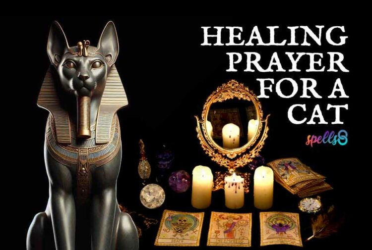Protection Prayer for Pet