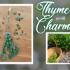 Thyme Charm Herbal Magick for Health